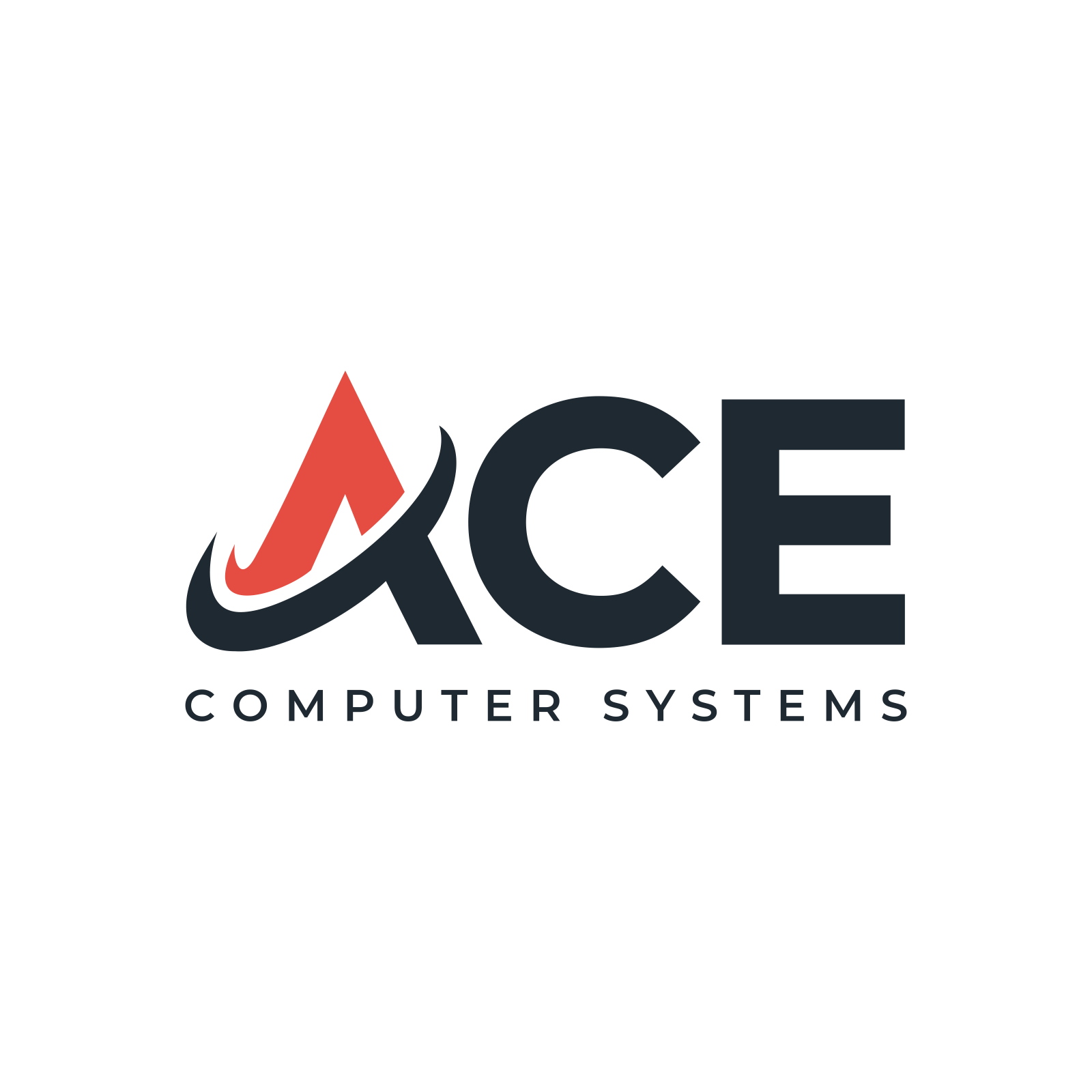 Abyde ACE Computer Systems Partnership